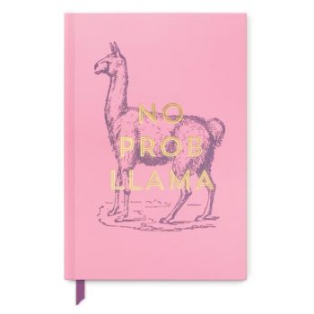 No Prob Llama Notebook