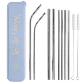 Stainless Steel Straw set in compact case