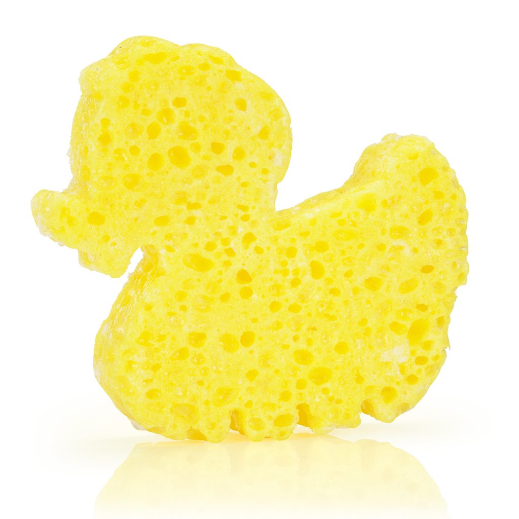 duck spongelle