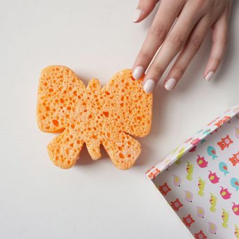 children's sponge