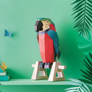 childrens craft, make your own parrot
