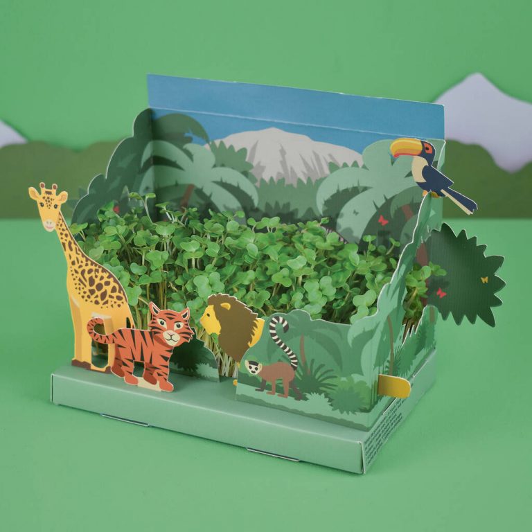 grow your own jungle garden