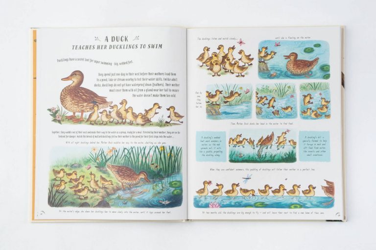 Slow Down Children's Nature book