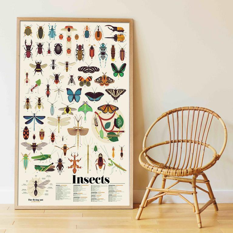 insect sticker poster