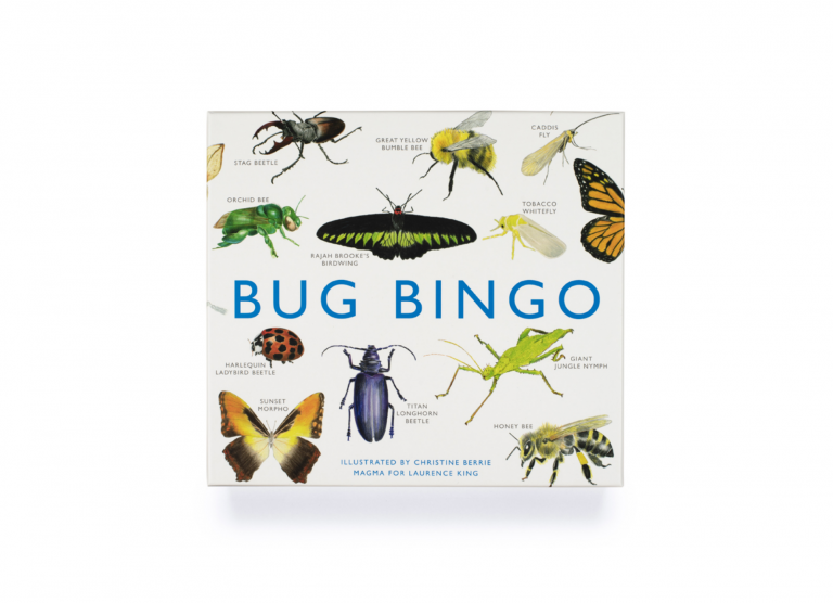 Bug Bingo, Family Fun Game