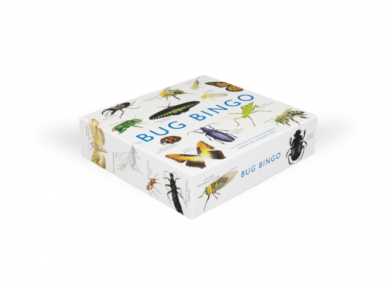 Bug Bingo Presentation Box