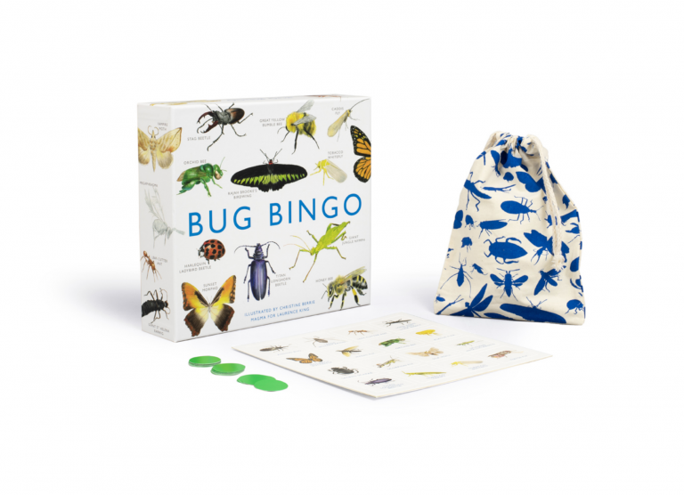 Bug Bingo, Children's Game