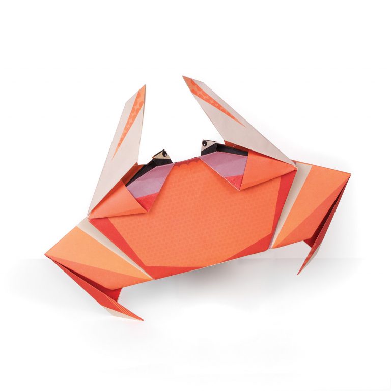 Origami Crab Kit