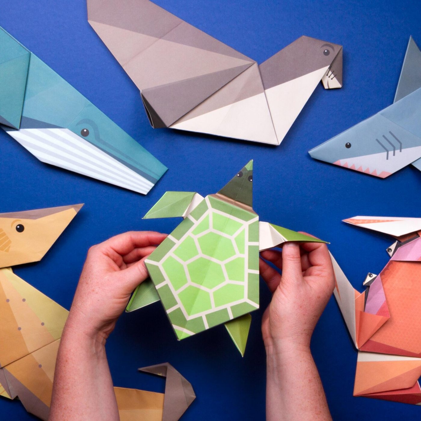 Childrens Origami Create Your Own Ocean Creatures