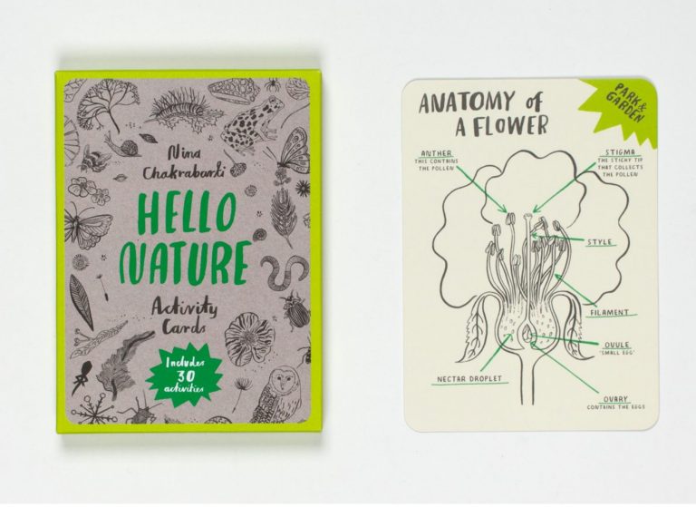 Hello Nature Activity Cards