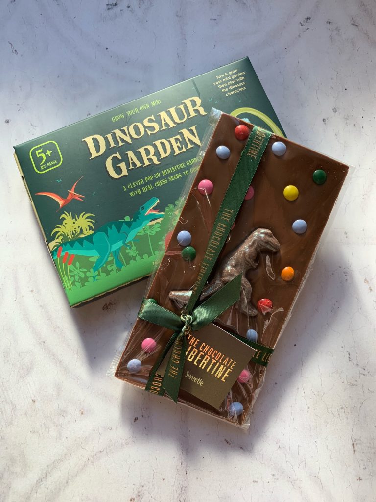 dinosaur gift box