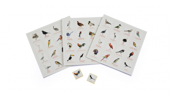 Bird Bingo cards