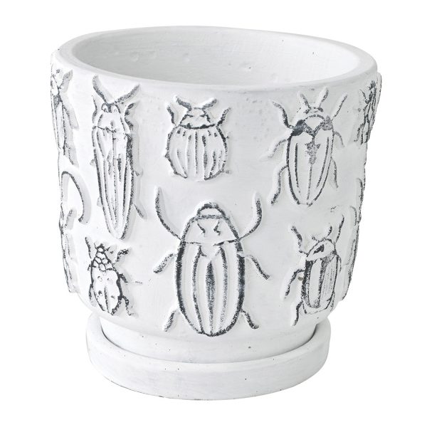 Cement Plant Pot