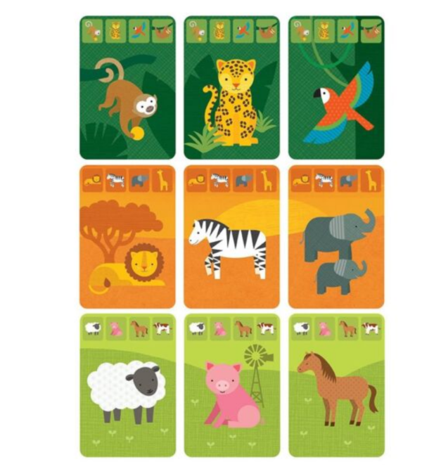 Animal Kingdom Card Game